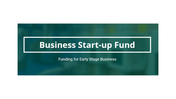 Business Startup Fund (BSF) logo